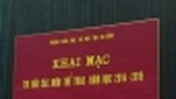 TRƯỜNG THCS MẠC ĐĨNH CHI THAM GIA THI ĐẤU CÁC MÔN THỂ THAO CẤP QUẬN