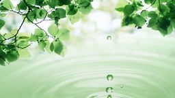 Kì thi đang về – Để chúng ta học thêm cách lắng nghe