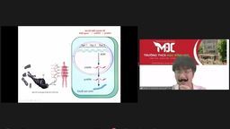 Một tiết dạy online đáng nhớ