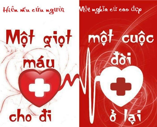 Những giọt máu yêu thương