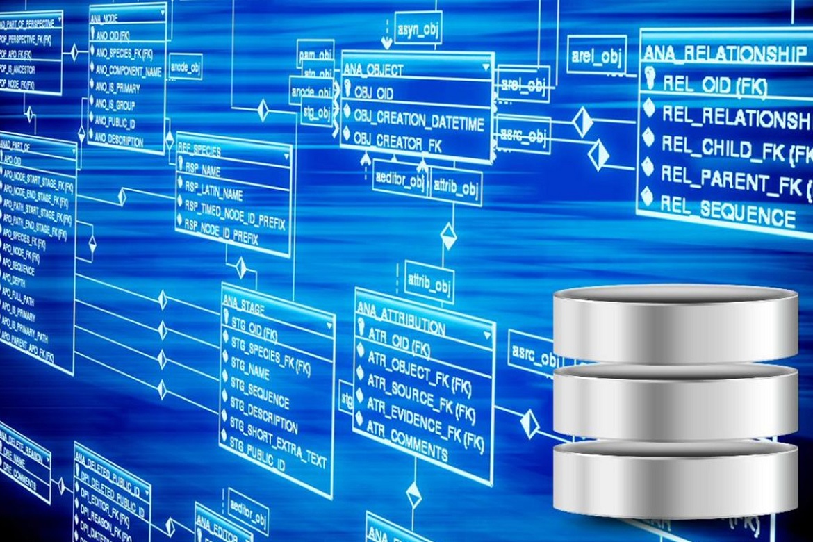 Sở GDĐT triển khai công tác rà soát, cập nhật dữ liệu, thông tin học sinh năm học 2024-2025